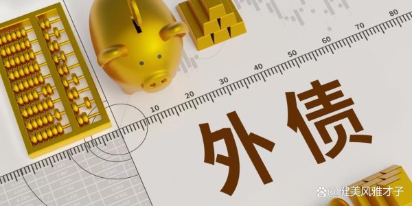 配资炒股大全 中长期外债工具的多元化探索
