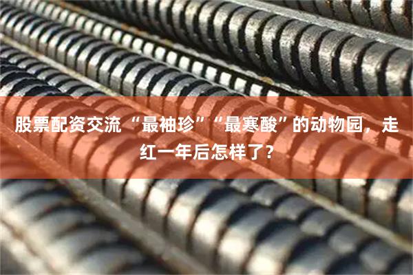 股票配资交流 “最袖珍”“最寒酸”的动物园,走红一年后怎样了?